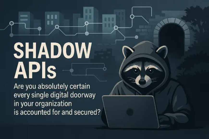 Shadow APIs: The Invisible Risk in Your DevSecOps Environment