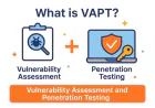 What is VAPT (Vulnerability Assessment and Penetration Testing)? A Complete Guide